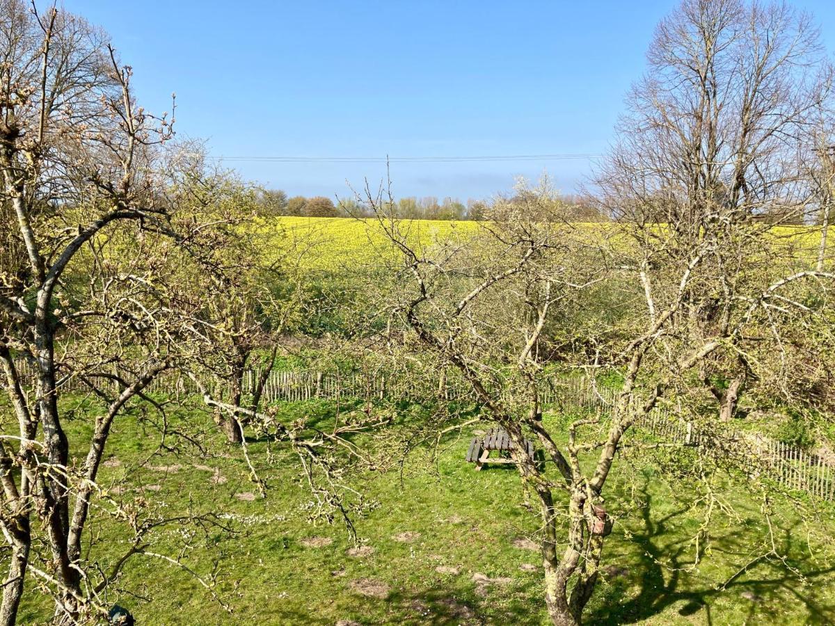 Urlaubsoase Ostsee Hohen Schoenberg Exteriér fotografie