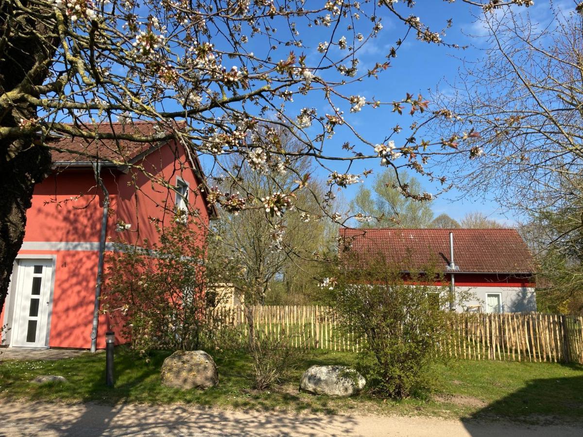 Urlaubsoase Ostsee Hohen Schoenberg Exteriér fotografie